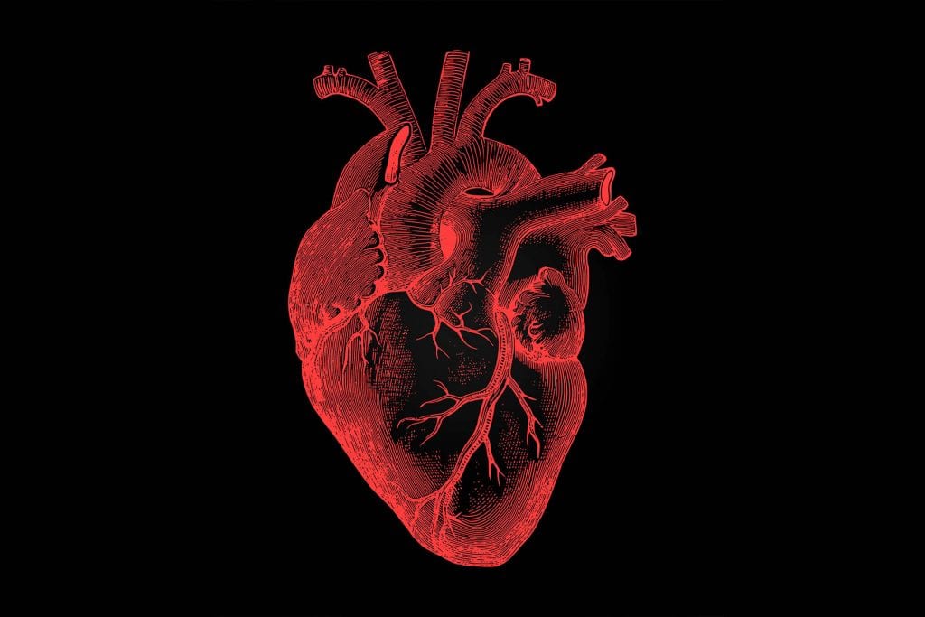 Heart Disease